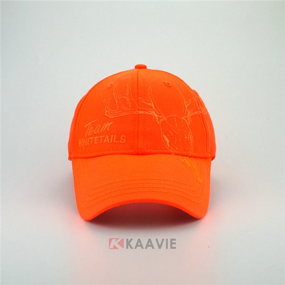 ɫ廨¹ҳñ