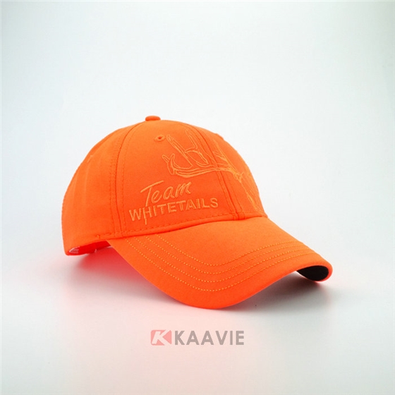 ɫ廨¹ҳñ