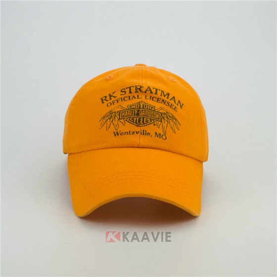 ɫ廨ĸѼñ